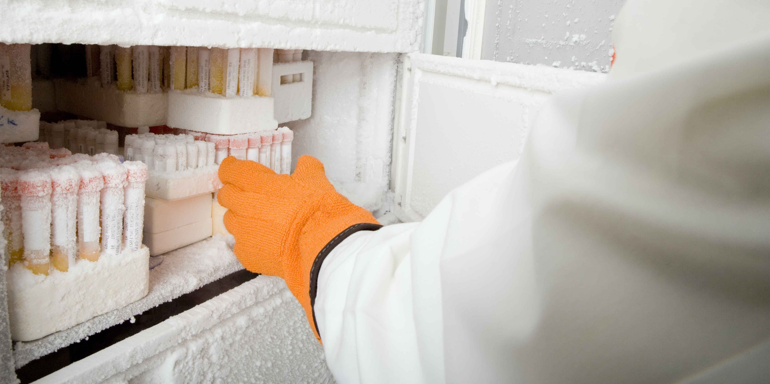 Freezer Failures How to Avoid Asset Loss Dickson