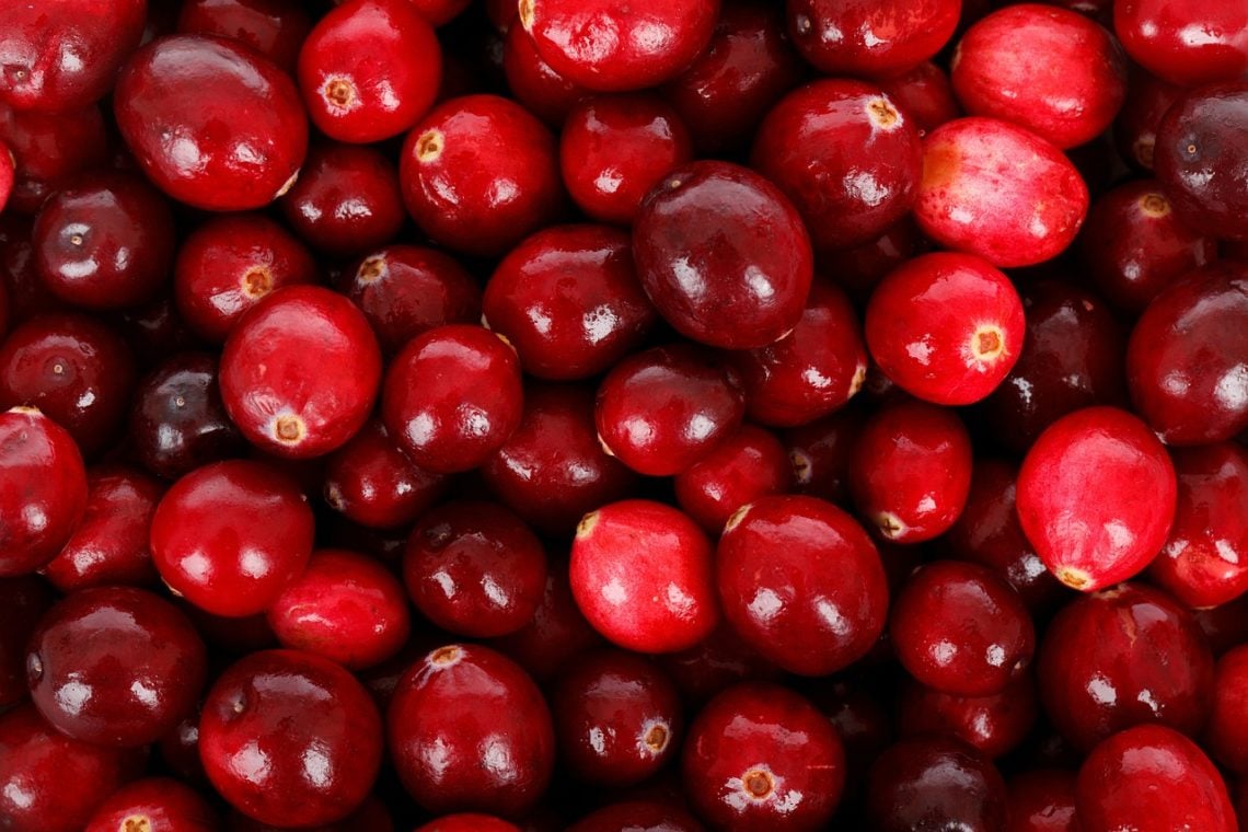 A close up on cranberries