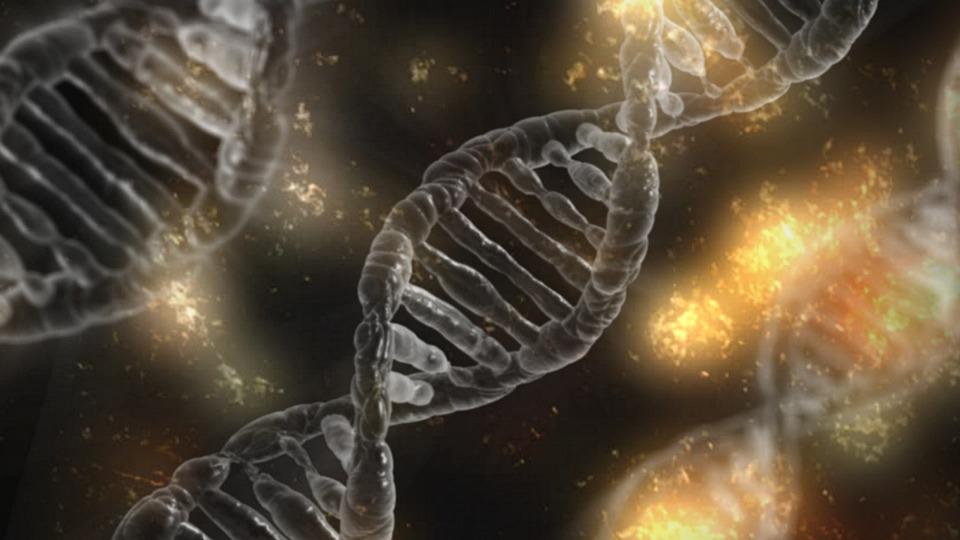 Storage From Drives and Discs to DNA