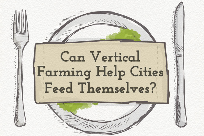 can-vertical-farming-help-cities-feed-themselves.jpg-800×2764-